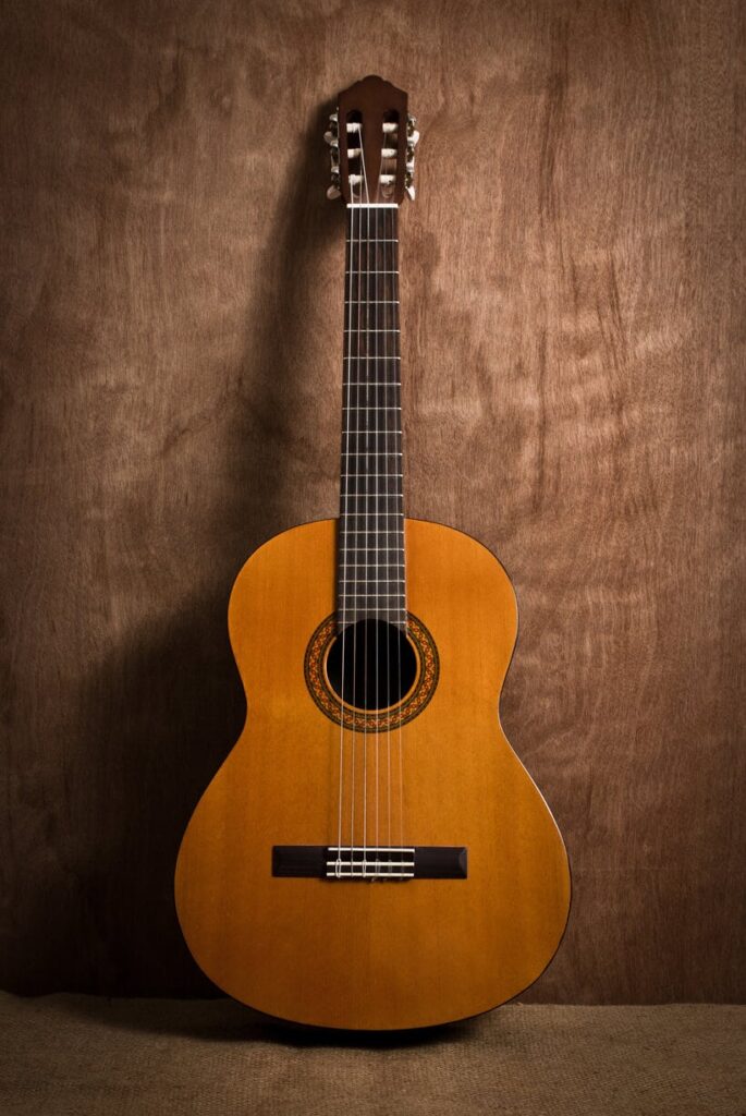 klassieke of spaanse gitaar