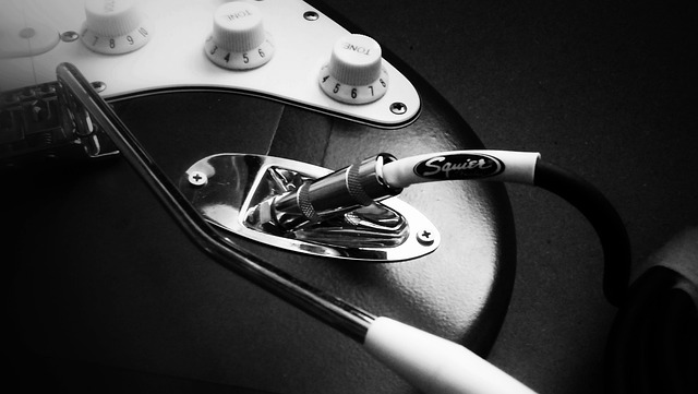 Squier-gitaar-plug-in