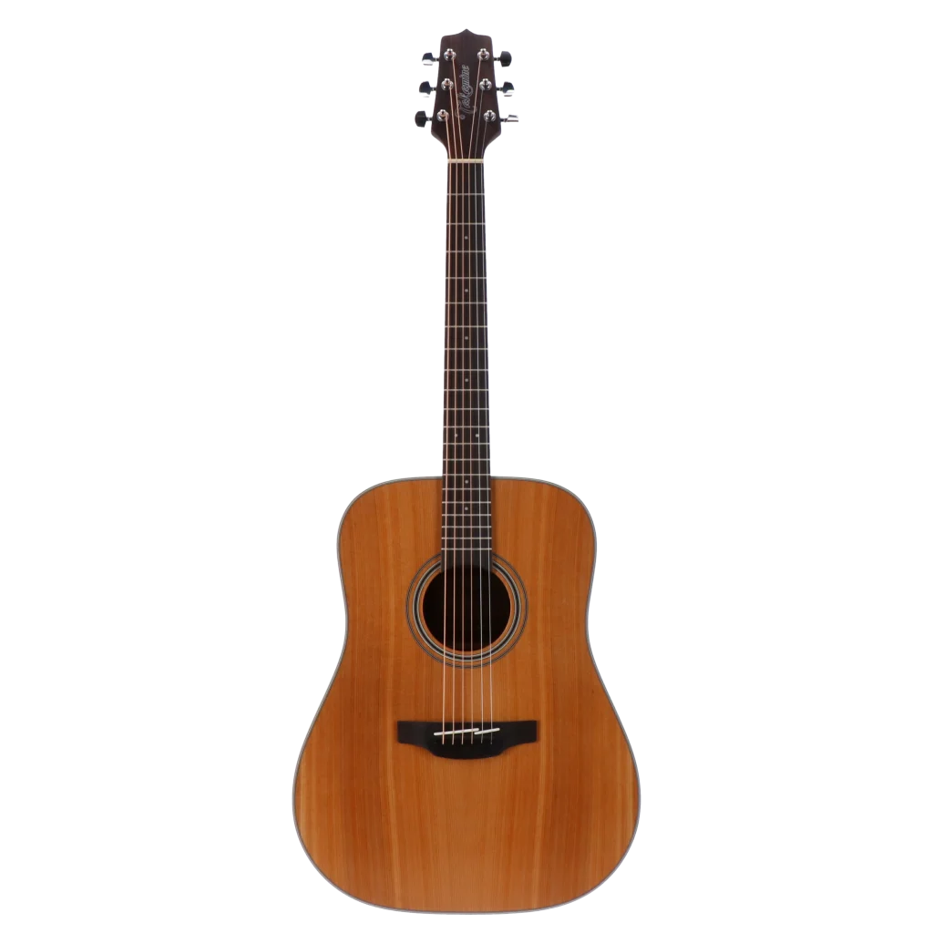takamine-gd-ns-20