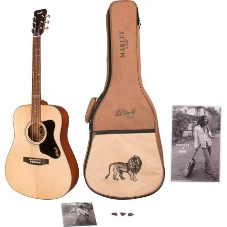Guild_A-20_Marley_pack